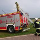 Fotka nr 1 z 3