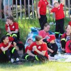 zdjęcie nr 136