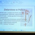 zdjęcie nr 14