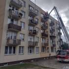 Fotka nr 3 z 11