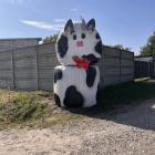 Fotka nr 2 z 11