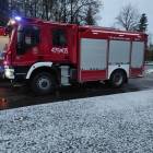 Fotka nr 5 z 8