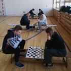 Fotka nr 2 z 14