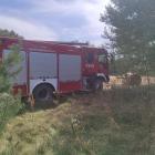 Fotka nr 2 z 5