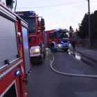 Fotka nr 2 z 4