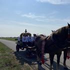 zdjęcie nr 99