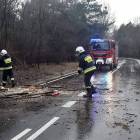 Fotka nr 2 z 13