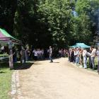 zdjęcie nr 14