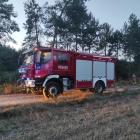 Fotka nr 4 z 6