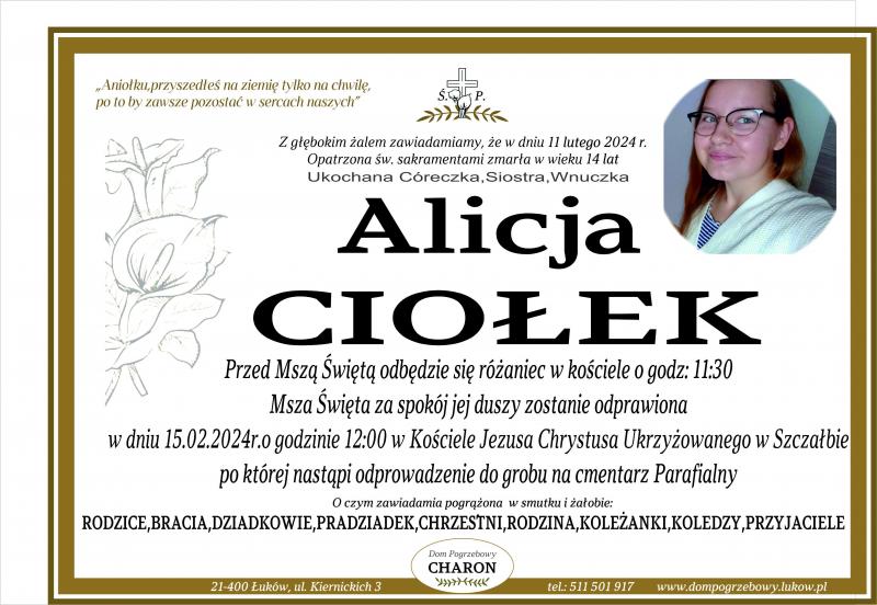 Alicja Ciołek 