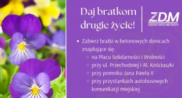 Mieszkańcy Łukowa mogą bezpłatnie zabrać bratki z miejskich donic