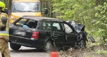 Zostawił rannego kolegę w rozbitym Audi i uciekł. Sprawdź, co grozi kierowcy