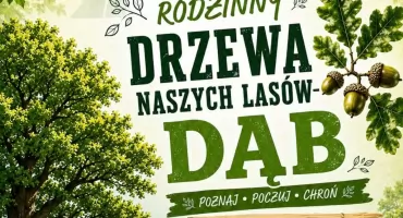 Druid czeka w lesie. W niedzielę Nadleśnictwo Łuków otwiera bramy na festyn o dębie