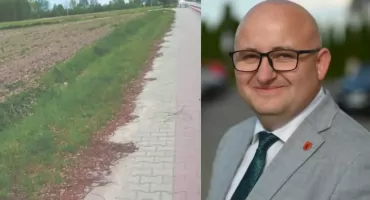 Chwasty, piach i wstyd. Radny Artur Czubaszek walczy o porządek na ciągu pieszo-rowerowym przy Międzyrzeckiej
