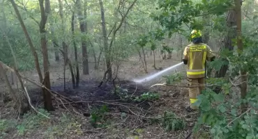 Pożar lasu koło Huty Dąbrowy. Szybka akcja strażaków z OSP Podosie