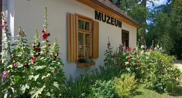 Sienkiewicz w nowym aucie! 143 tysiące złotych na mobilność muzeum w Woli Okrzejskiej