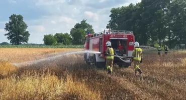 Ogień w Zalesiu. Wieczorna akcja strażaków na nieużytkach