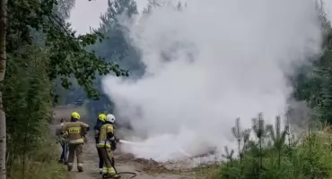 Poranny pożar lasu w Wojcieszkowie – sprawna akcja służb przy ul. Leśnej