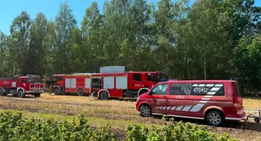 Pożar lasu w Hordzieżce. W akcji drony i dziesiątki strażaków [ZDJĘCIA]