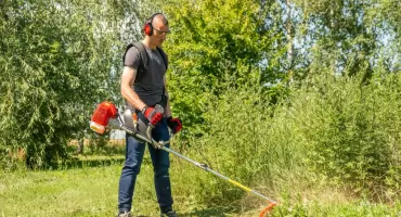 Najczęstsze błędy podczas koszenia trawy w letnie dni