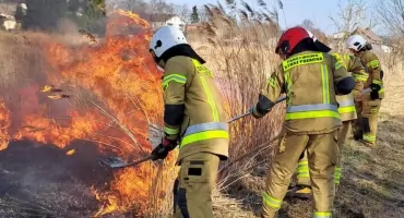 Groźny pożar na posesji w Rolach. Ogień zagrażał drewnianym budynkom