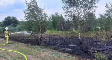 Interwencja strażaków w Okrzei. Szybka akcja gaśnicza pożaru nieużytków rolnych