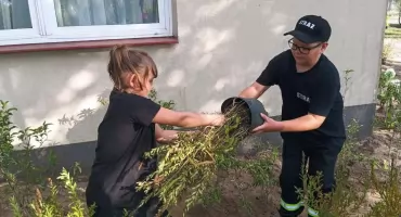Zasadzili jeżówki, róże i krzewuszki. Zielona zmiana przy remizie w Woli Bystrzyckiej