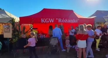 Smaki, tradycja i serce naszych wsi. KGW zachwyciły podczas dożynek w Nowych Kobiałkach