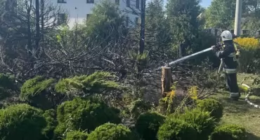 Groźny pożar pod Stoczkiem! Płonęły tuje tuż obok domu