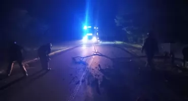Nocna interwencja strażaków. Powalone drzewo zablokowało drogę krajową nr 76
