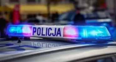 Groźne zderzenie z łosiem na ul. Międzyrzeckiej w Łukowie. Zwierzę nie przeżyło
