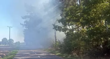 Groźny pożar lasu w Sarnowie. W akcji trzy zastępy straży pożarnej