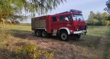 Ogień w lesie w miejscowości Dąbrówka. W akcji strażacy z okolicznych OSP i policja