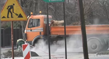 Będzie bezpieczniej na ulicy Źródlanej w Łukowie. Urząd wybuduje progi zwalniające
