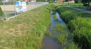  Krzna wysycha, deszczówka spływa z betonu. Jak Łuków chce zatrzymać wodę w mieście?