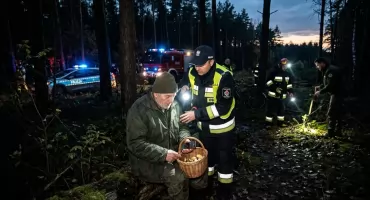 Dramat w lesie pod Łukowem! 67-letni grzybiarz błąkał się w ciemnościach. Przeżył koszmarną noc!