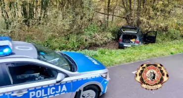 Volkswagen Golf uderzył w drzewo na trasie Gręzówka – Łuków. Na miejscu wszystkie służby