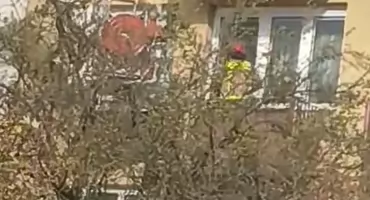 Strażacy ruszyli z pomocą. Dramatyczna akcja na osiedlu Klimeckiego w Łukowie [WIDEO]