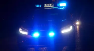 Sarna wbiegła wprost pod peugeota. Do kolizji doszło w miejscowości Jeziory