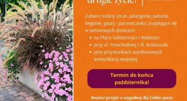 Zaoferuj roślinom drugie życie. ZDM w Łukowie zachęca mieszkańców do zabierania kwiatów z miejskich donic